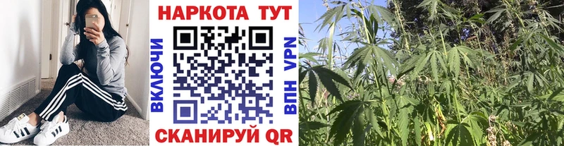 Купить Каннабис АМФ Меф Cocaine A-PVP Аша