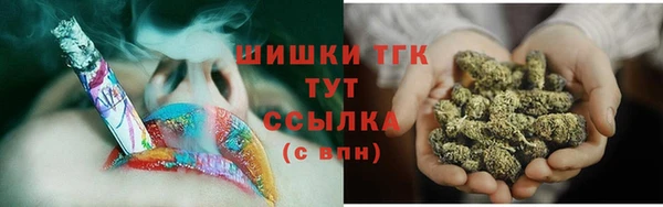 дживик Бородино