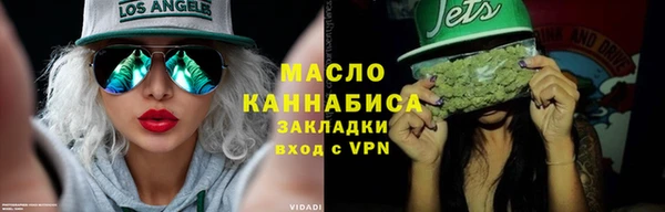 дживик Бородино
