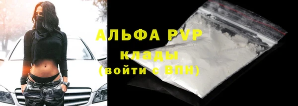 дживик Бородино