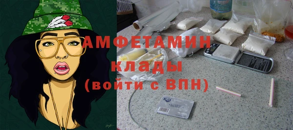 дживик Бородино