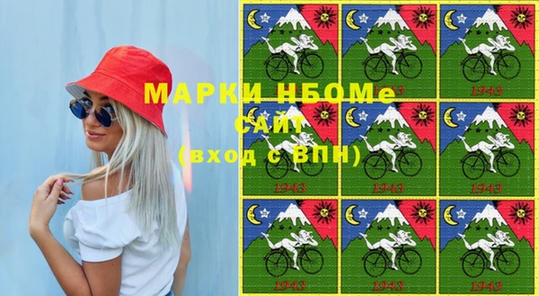 дживик Бородино